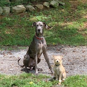 Meet your Posher, Jessa